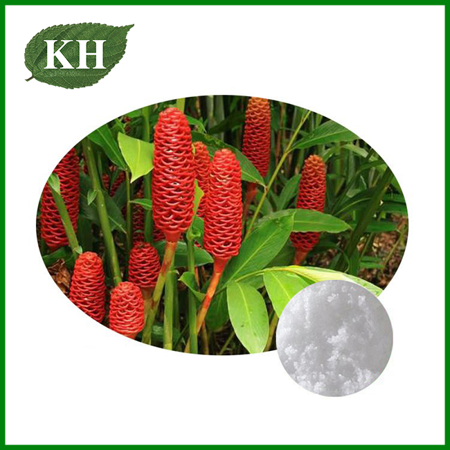 Zinger Zerumbet Extract